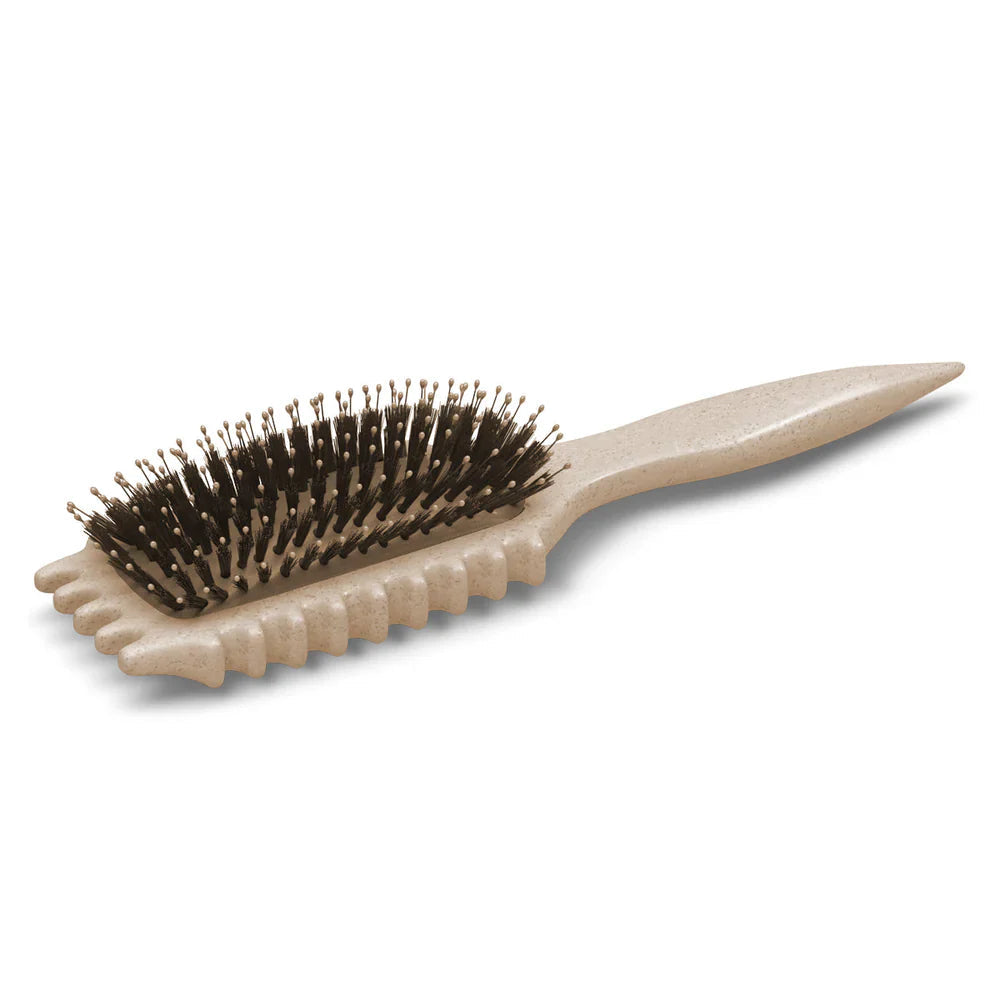 Frizz-Free Detangling Brush | Wet Hair Brush for Curls & Coils 5