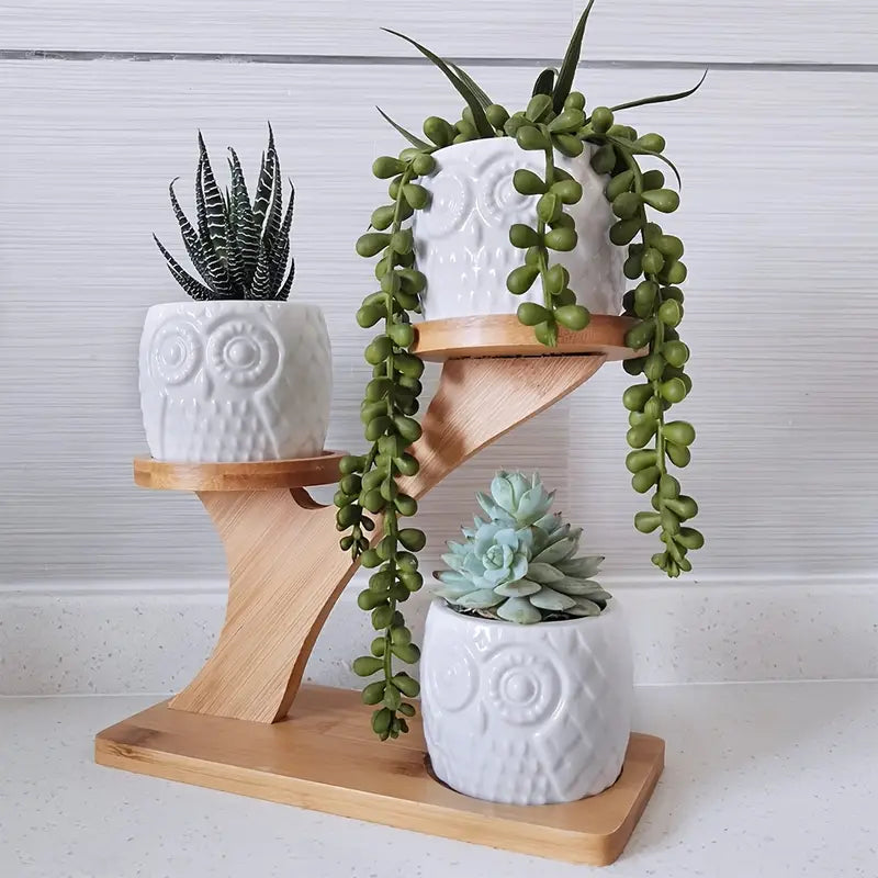Plant Pots