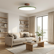 Adjustable LED Ceiling Light | Modern Minimalist Fixture 2