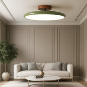 Adjustable LED Ceiling Light | Modern Minimalist Fixture 4