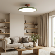 Adjustable LED Ceiling Light | Modern Minimalist Fixture 6