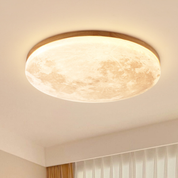 Dimmable LED Ceiling Light | Modern Flush Mount Fixture 0