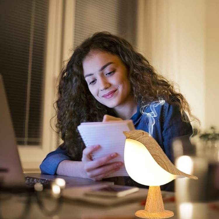 Elegant Touch Table Lamp | Adjustable Brightness & Essential Oil Diffuser 1