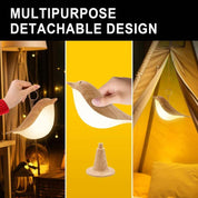 Elegant Touch Table Lamp | Adjustable Brightness & Essential Oil Diffuser 3
