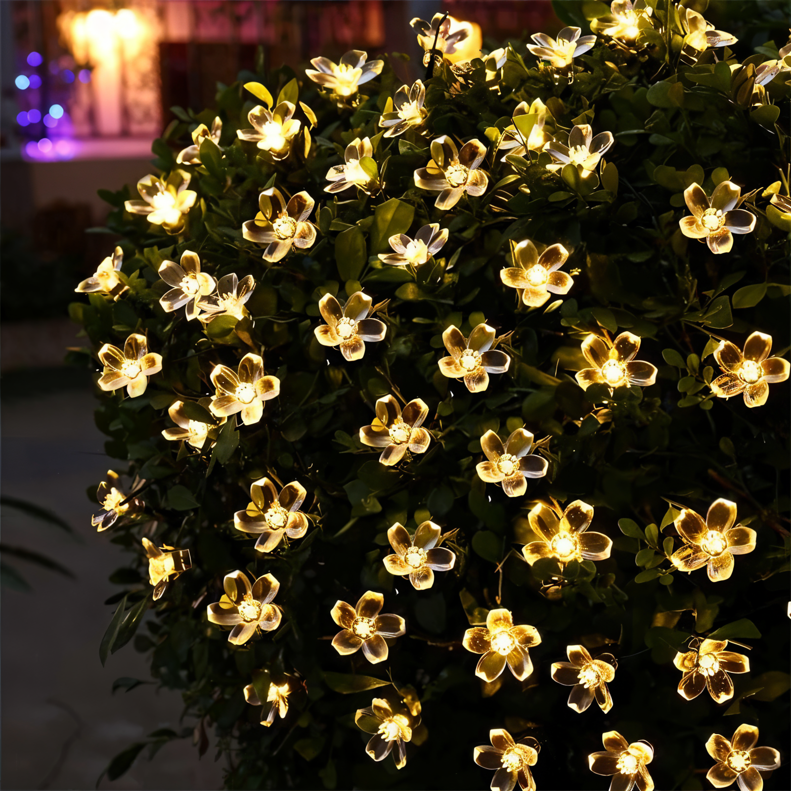 Enchanting LED Fairy Lights | Decorative String Lights for Parties 1