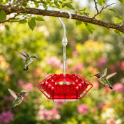Hummingbird Feeder Wide Opening Outdoor Hanging Decor