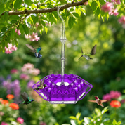 Hummingbird Feeder Wide Opening Outdoor Hanging Decor