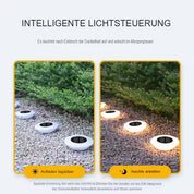 Modern Solar Light | Weatherproof & Energy-Saving Garden Lights 5