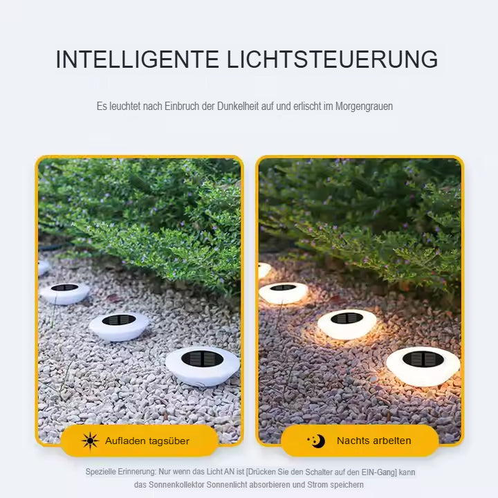 Modern Solar Light | Weatherproof & Energy-Saving Garden Lights 5