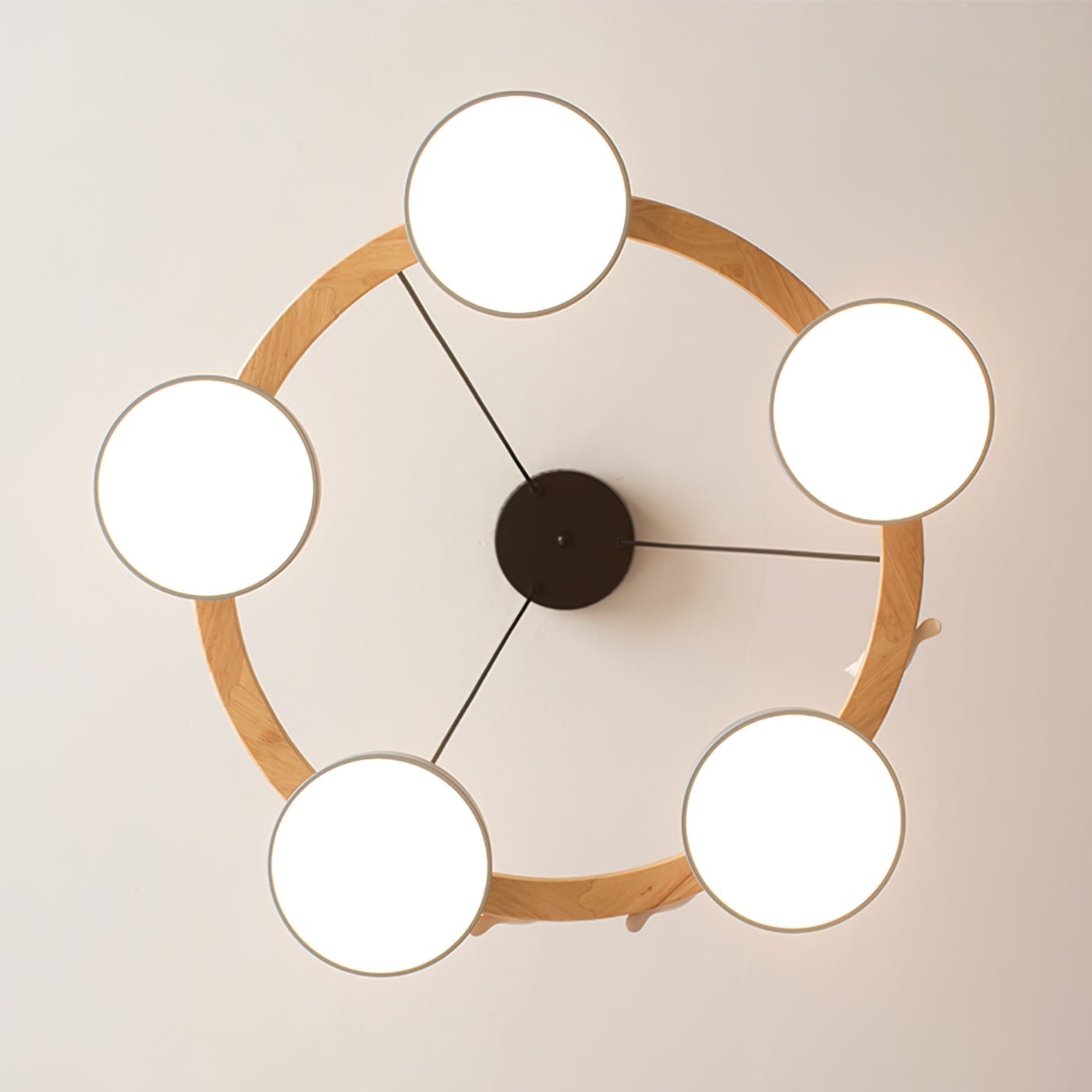 Nature-Inspired LED Chandelier | Modern Design with Adjustable Height 6