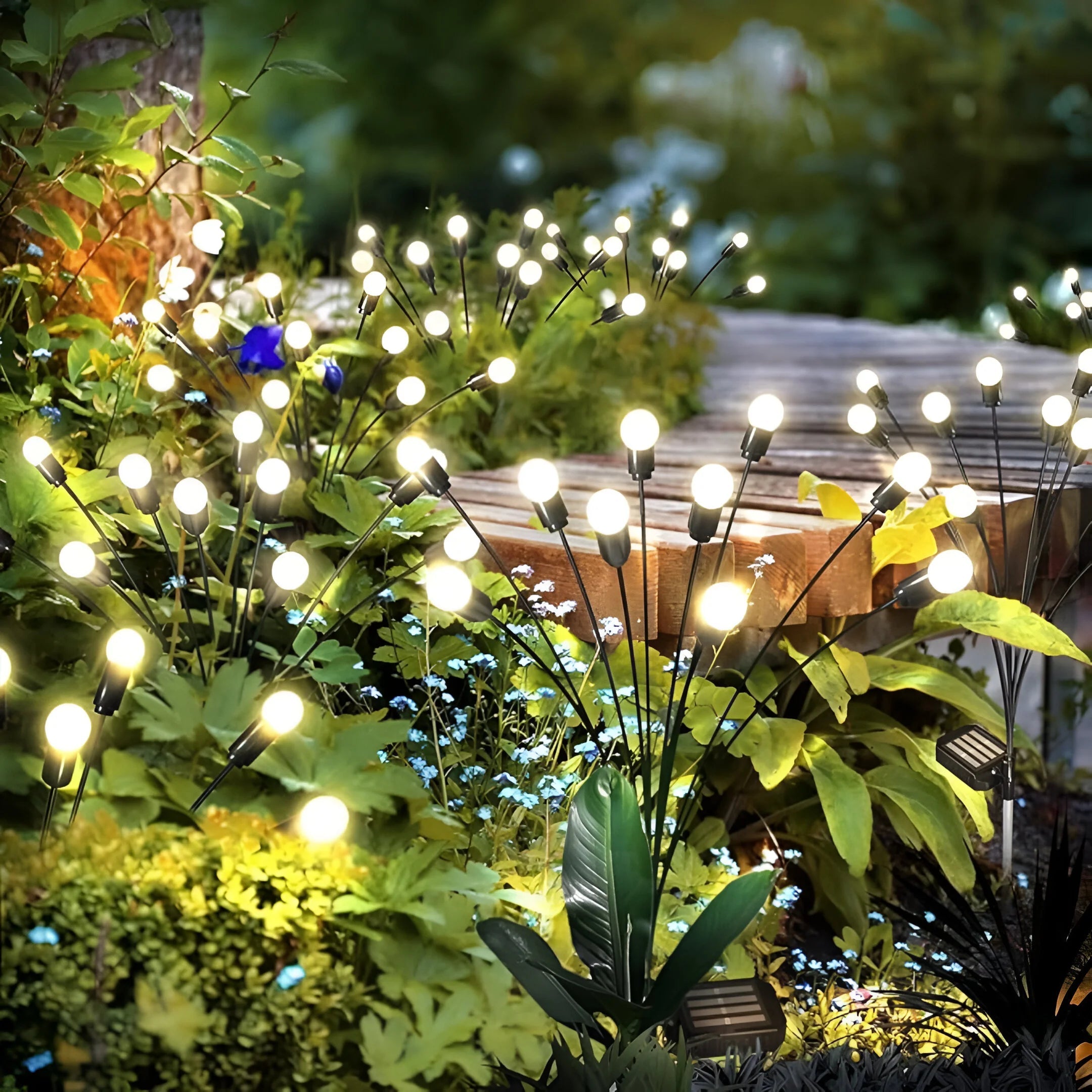 Solar Garden Lights | Weather-Resistant & Energy-Efficient 0