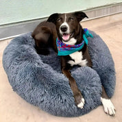 Anxiety Relief Pet Bed Dogs and Cats Soft Plush Design - Image 2