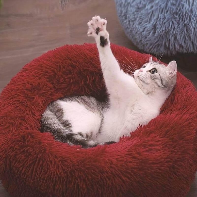 Anxiety Relieving Cat Bed Soft Plush Round Pet Bed Comfort - Image 6