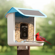 Bird Feeder Camera Smart Feeder App Birdwatching - Image 3