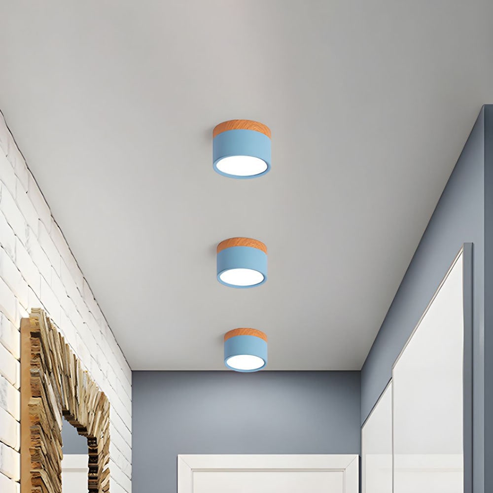 Ceiling Small Flush Mount Modern Metal Cylinder - Image 1