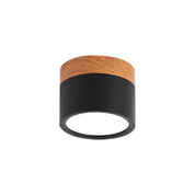 Ceiling Small Flush Mount Modern Metal Cylinder - Image 13