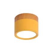 Ceiling Small Flush Mount Modern Metal Cylinder - Image 30