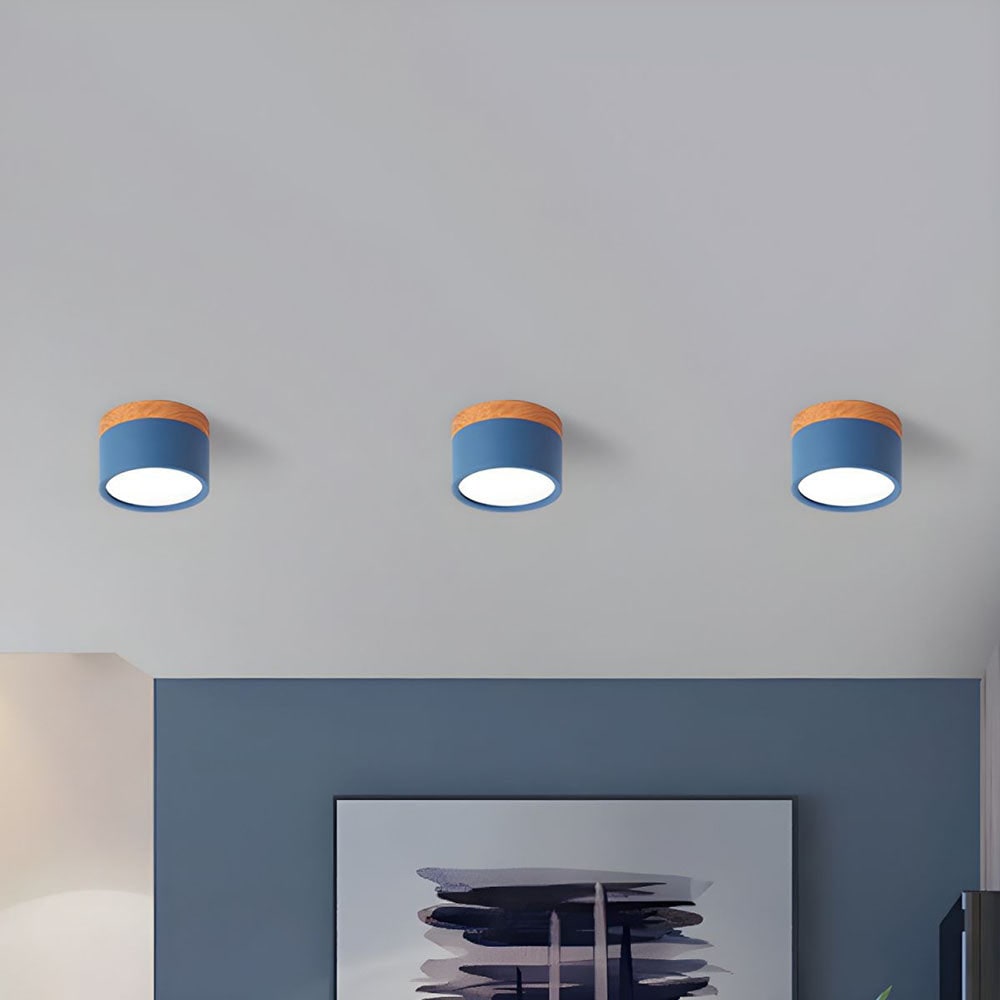 Ceiling Small Flush Mount Modern Metal Cylinder - Image 41