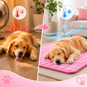 Cooling Pet Bed Dogs & Cats Extra Large Chillpaws Mat - Image 3