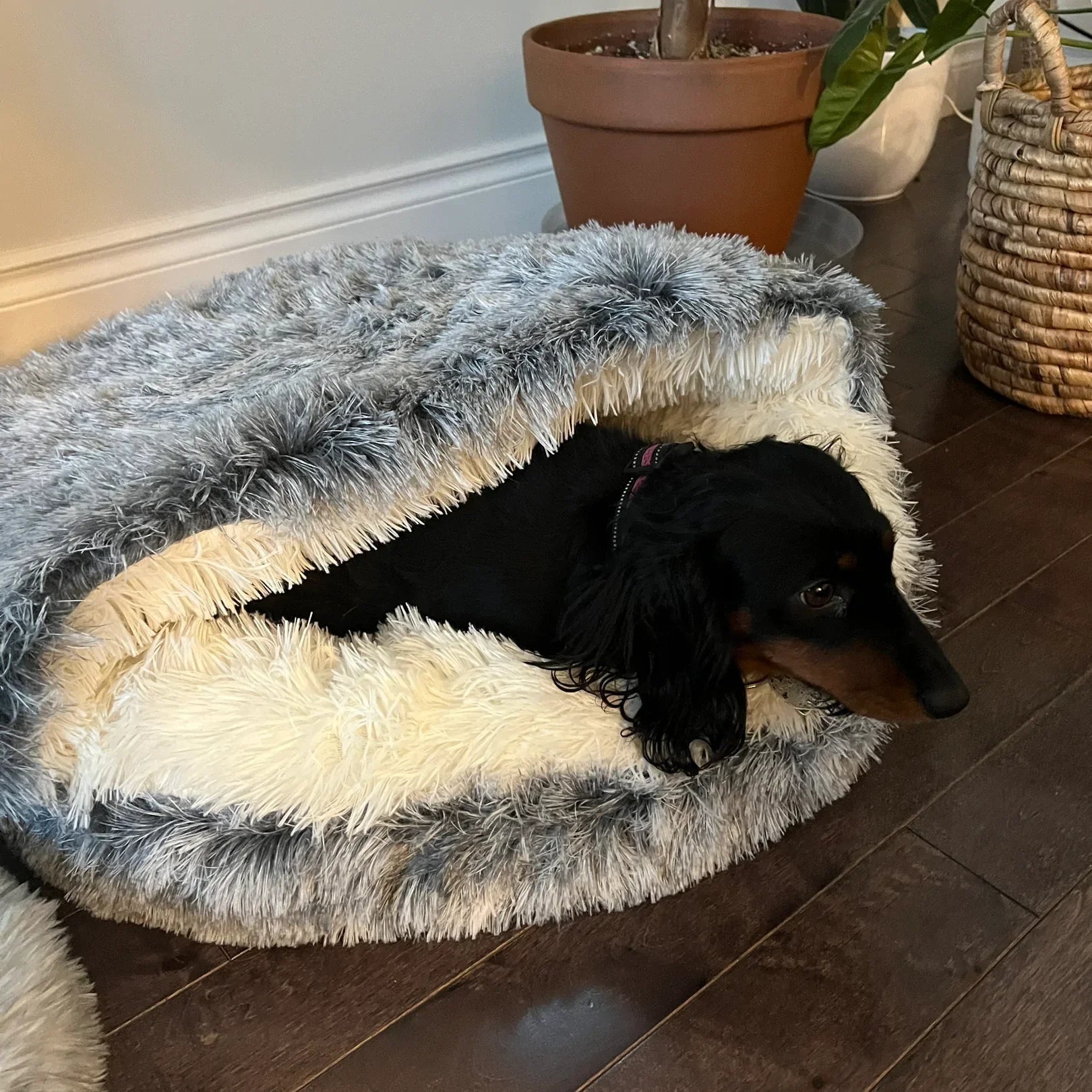 Cozy Pet Cave Bed Cats and Dogs Soft Plush Snuggle Cave - Image 1