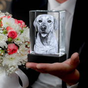 Custom Photo Crystal Keepsake Personalized 3D Art Display Memories - Image 1