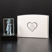 Custom Photo Crystal Keepsake Personalized 3D Art Display Memories - Image 10