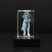 Custom Photo Crystal Keepsake Personalized 3D Art Display Memories - Image 8