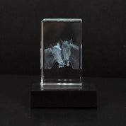 Custom Photo Crystal Keepsake Personalized 3D Art Display Memories - Image 9