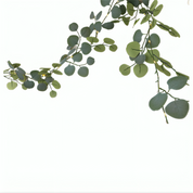 Decorative Light Eucalyptus Garland Battery-Operated LED - Image 5