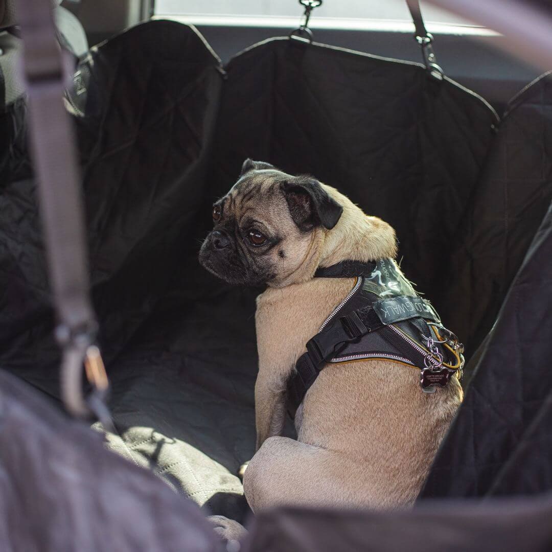 Dog Car Seat Cover Quilted Protector Pets Vehicles - Image 2