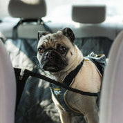 Dog Car Seat Cover Quilted Protector Pets Vehicles - Image 5