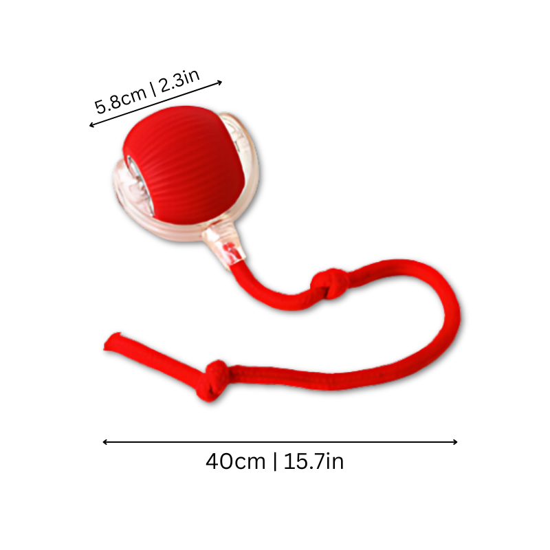 Dog Fetch Toy Rope Durable Rubber Ball Outdoor Play - Image 2