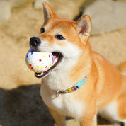 Durable Dog Toy Ball Aggressive Chewers Design - Image 1