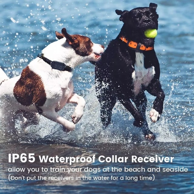 Electric Dog Training Collar Remote Control Safe & Effective Gear - Image 2