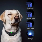 Electric Dog Training Collar Remote Control Safe & Effective Gear - Image 9