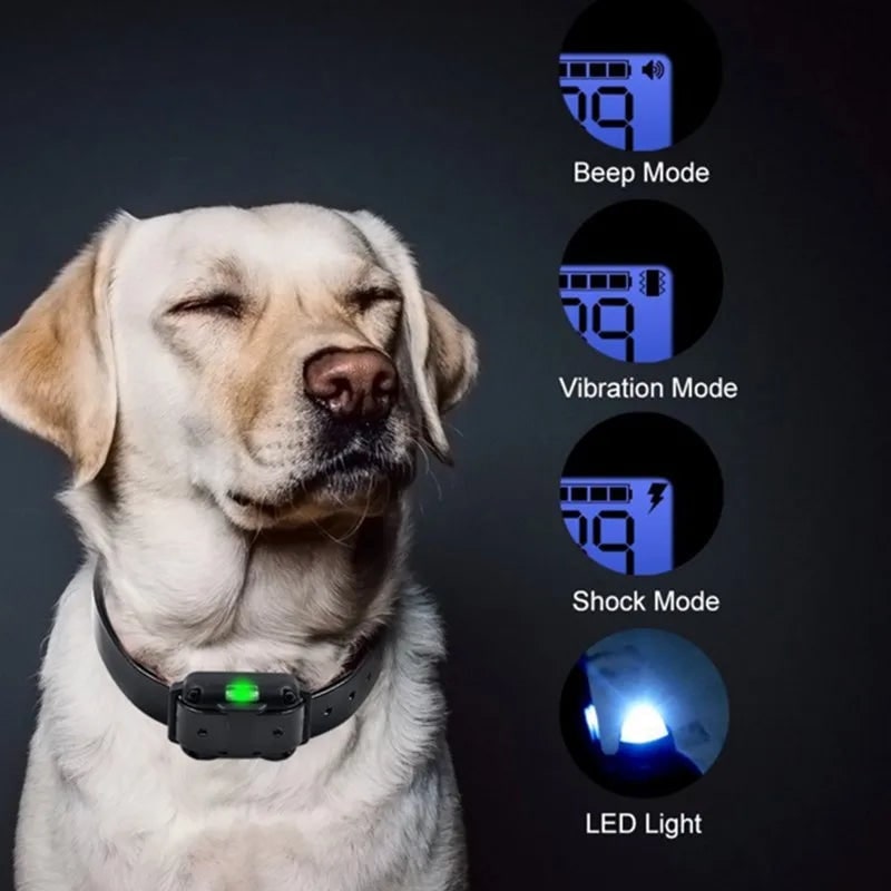 Electric Dog Training Collar Remote Control Safe & Effective Gear - Image 9