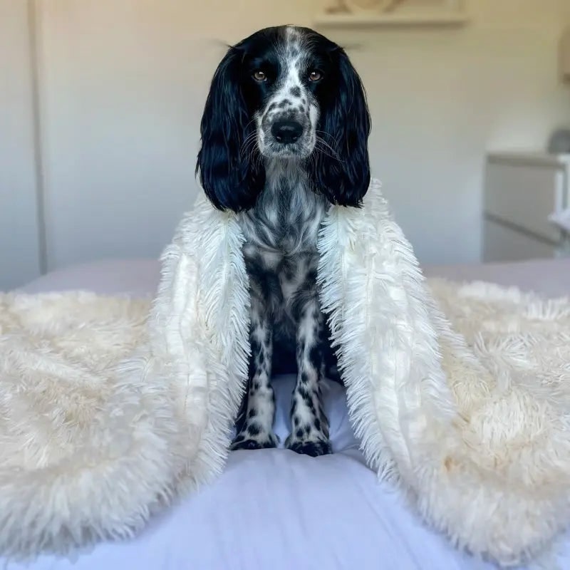 Fluffy Pet Blanket Anxiety Relief Soft Cozy and Comfortable - Image 4