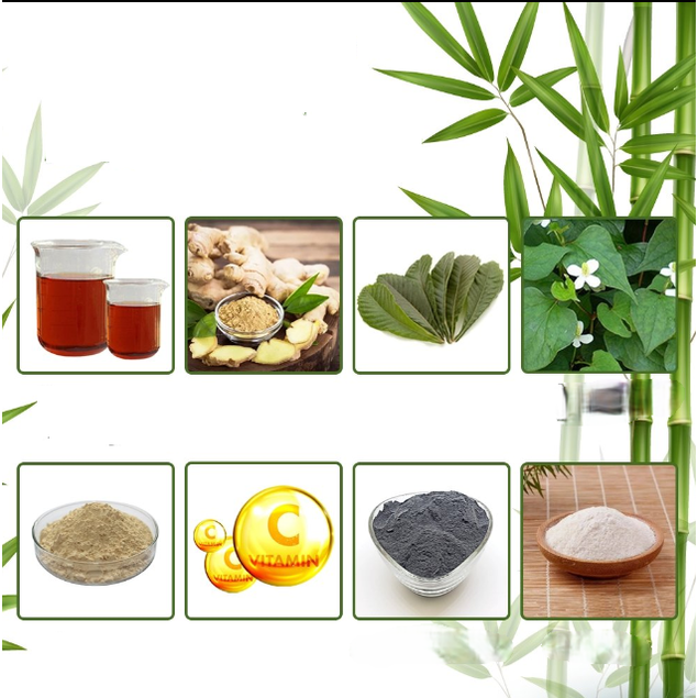 Foot Pads Natural Deep Cleansing and Relaxation - Image 2