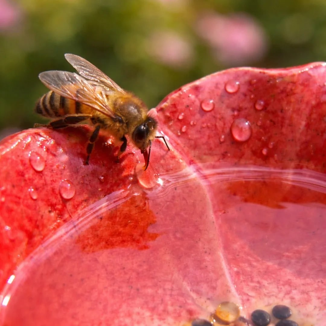 Handmade Weatherproof Ceramic Flower Bee Drinkers - Image 5