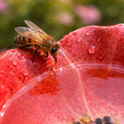 Handmade Weatherproof Ceramic Flower Bee Drinkers - Image 5