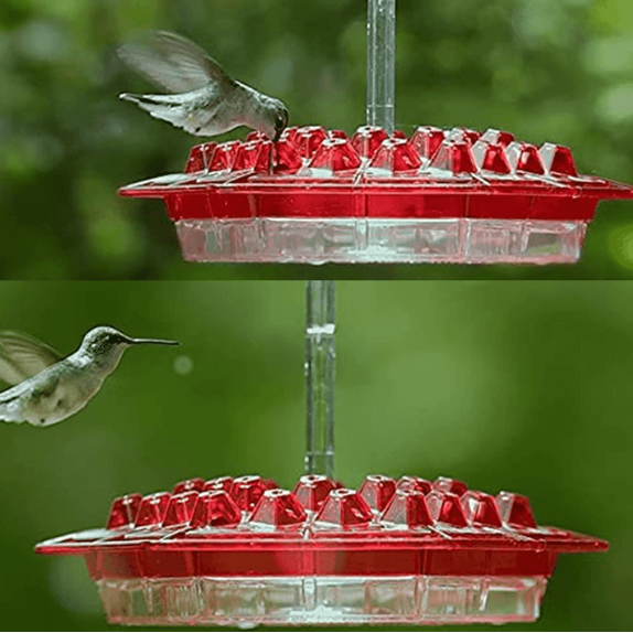 Hummingbird Feeder Ant Moat Outdoor Hanging Use - Image 6