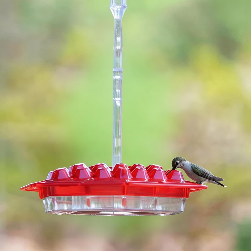 Hummingbird Feeder Easy Clean Design and Colorful Base - Image 1