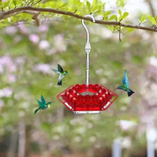 Hummingbird Feeder Easy Clean Design and Colorful Base - Image 4