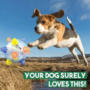 Interactive Dog Ball Toy Lights and Automatic Movement Fun - Image 3
