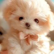 Interactive Plush Dog Toy Plush Pet Companion - Image 9