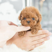 Interactive Robot Puppy Toy Realistic Design Fun - Image 3