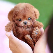 Interactive Robotic Puppy Toy Smart Walking Barking Dog - Image 1