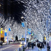 LED Christmas String Lights Sparkling & Safe Holiday Decor - Image 1
