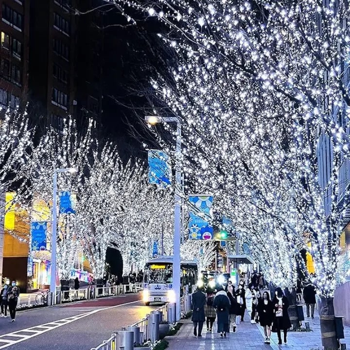 LED Christmas String Lights Sparkling & Safe Holiday Decor - Image 1