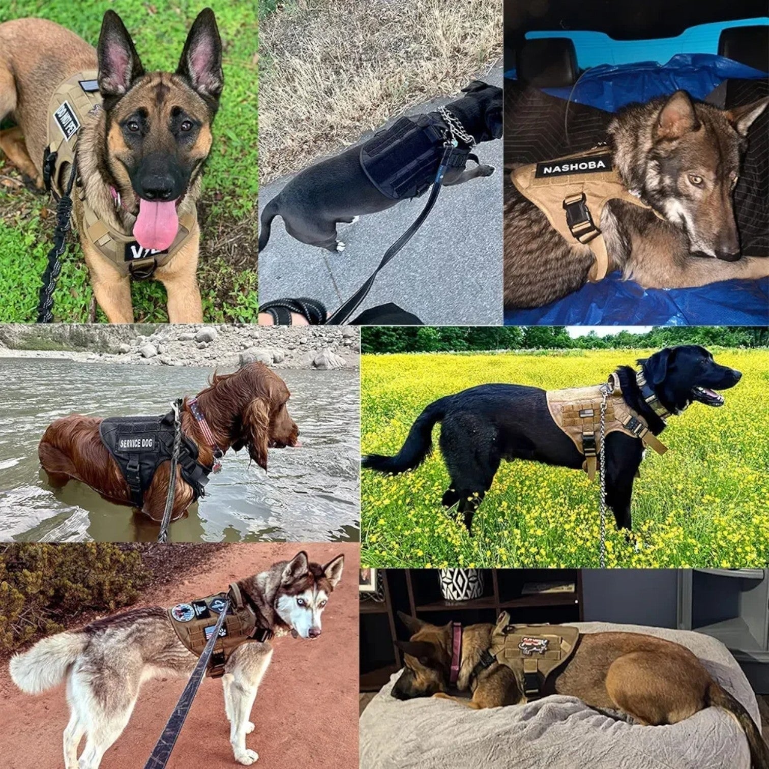 Military Dog Tactical Training Vest Quick-Release System - Image 6